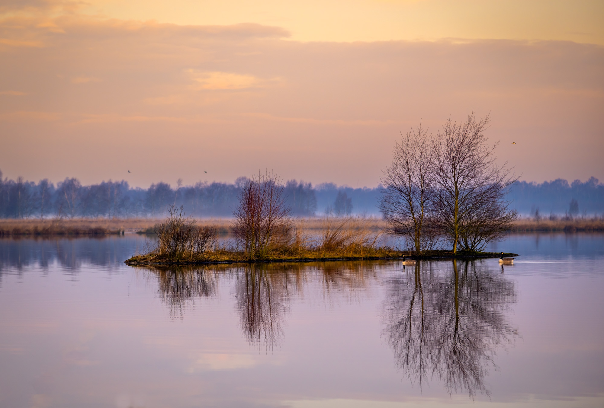 2023 03 19  xt 5   4233